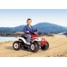 Электромобиль Peg Perego T-REX 2012 (OR 0058)